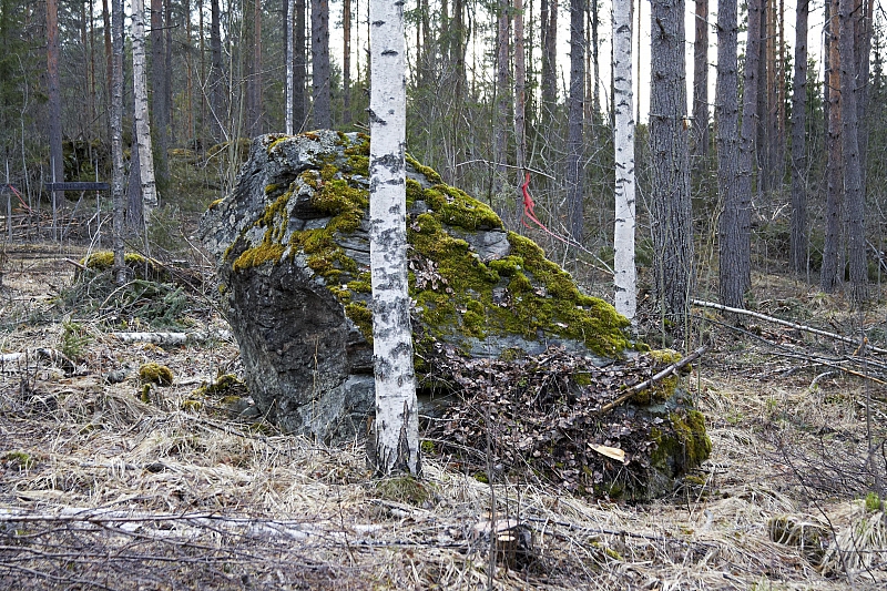 2010-05-02 19-28-38
