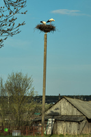 2025-04-19 18.01.30