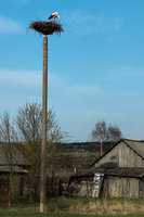 2025-04-19 18.02.30