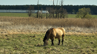 2025-04-20 11.31.24