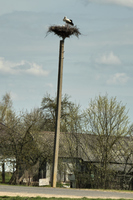 2025-04-20 11.50.22
