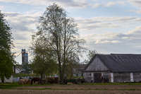 2025-05-09 19.12.30