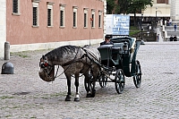 на замковой площади