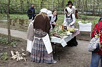 тут можно закусить одуванчиком